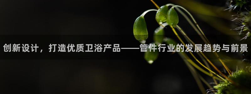 天辰娱乐代理