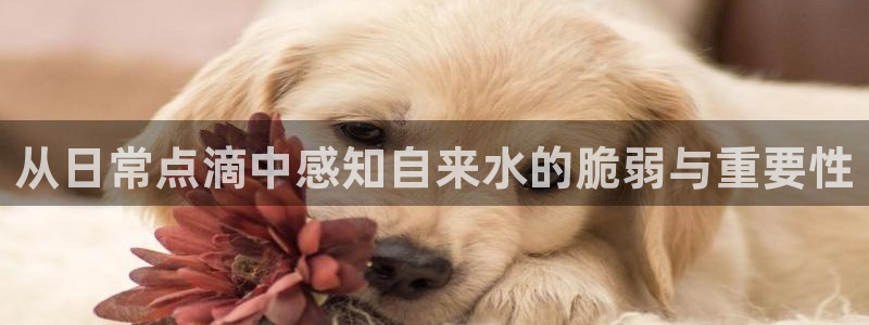 天辰娱乐卡