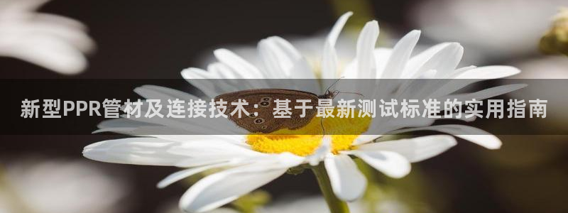 天辰娱乐棋牌