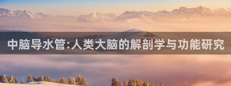天辰娱乐 39974