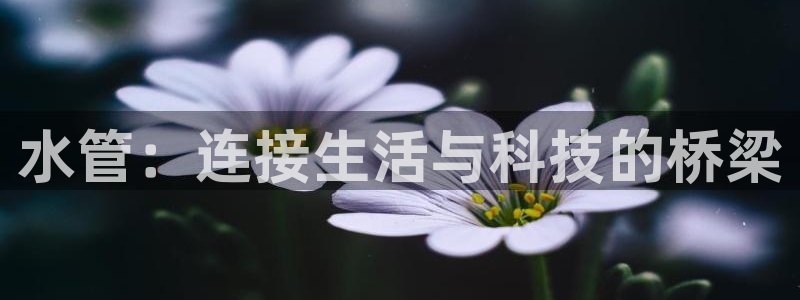 天辰团队贝高娱乐