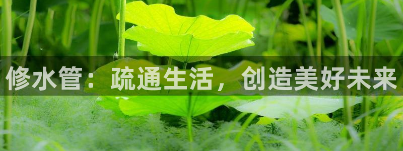 天辰娱乐61116