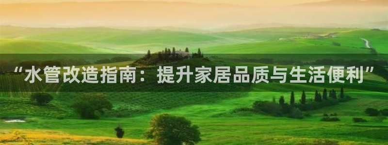 天辰娱乐股票
