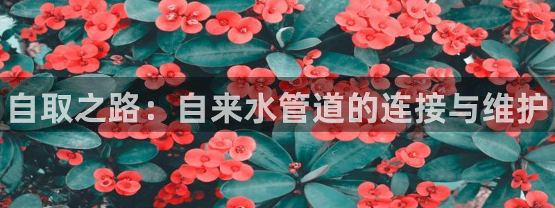 天辰娱乐简介