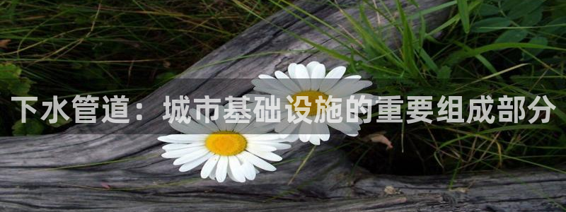 天辰娱乐下载