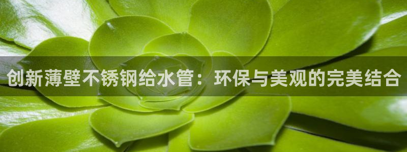 天辰娱乐厕所