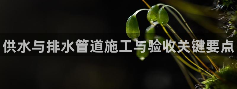 天辰娱乐平台娱乐注册