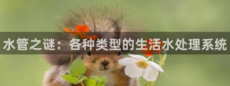 天辰娱乐官网平台下载