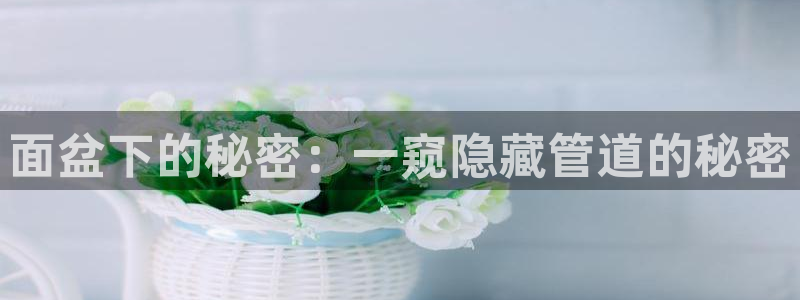 天辰娱乐平台娱乐注册