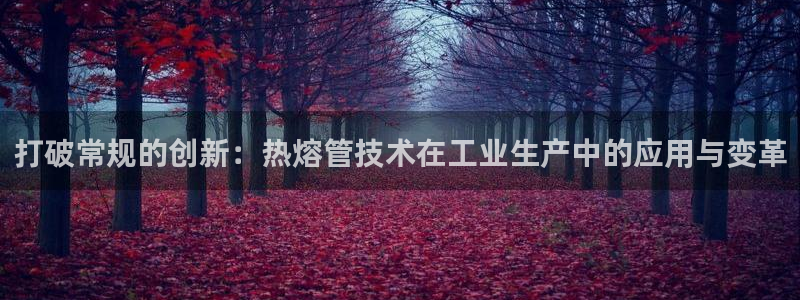 天辰娱乐下载链接