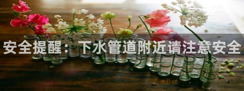 天辰娱乐平台入口