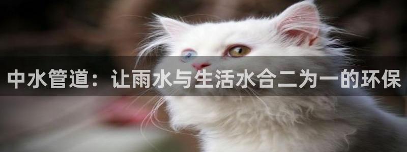 天辰娱乐怎么样