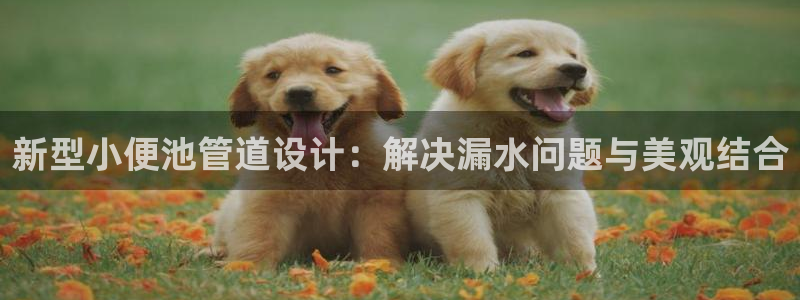 天辰娱乐怎么样