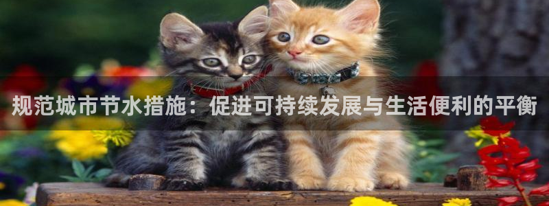 天辰娱乐游戏平台怎么样